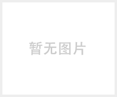 真空箱价格/章氏电热真空烤箱